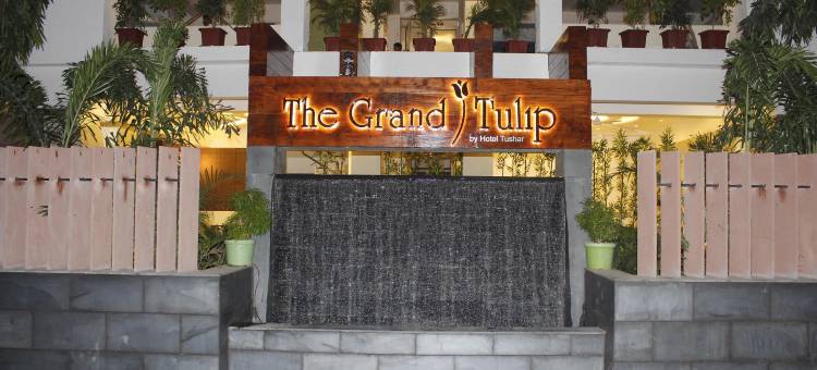 浦那郁金香大酒店(The Grand Tulip)图片