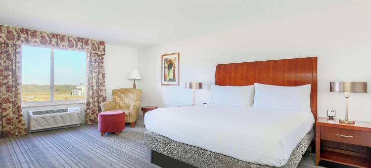 罗阿诺克拉皮兹希尔顿花园酒店(Hilton Garden Inn Roanoke Rapids)图片