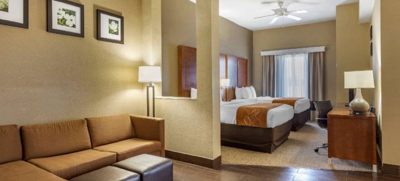 舒适套房酒店(Comfort Suites Batesville)图片