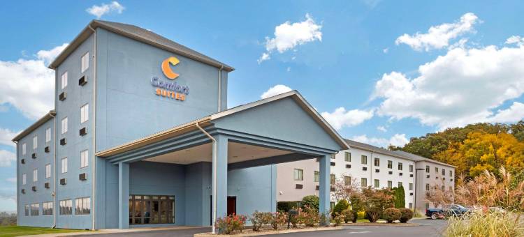 布鲁斯堡舒适套房酒店(Comfort Suites)图片