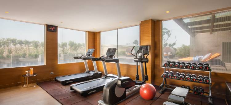 阿格拉MG路假日酒店(Holiday Inn Agra MG Road)图片