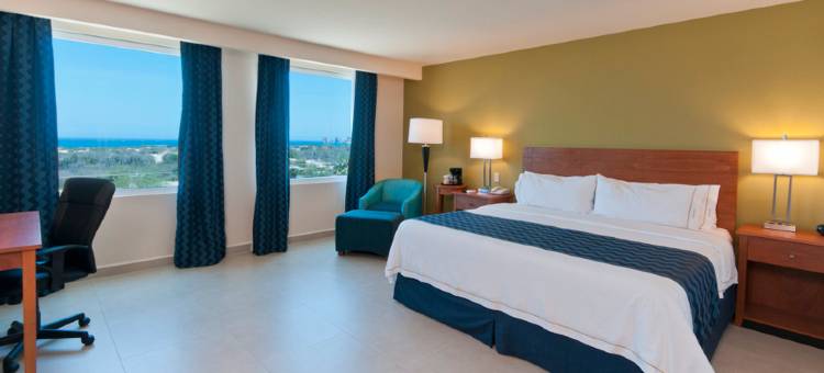 Holiday Inn Express 洛斯卡波斯(Holiday Inn Express CABO SAN LUCAS by IHG)图片