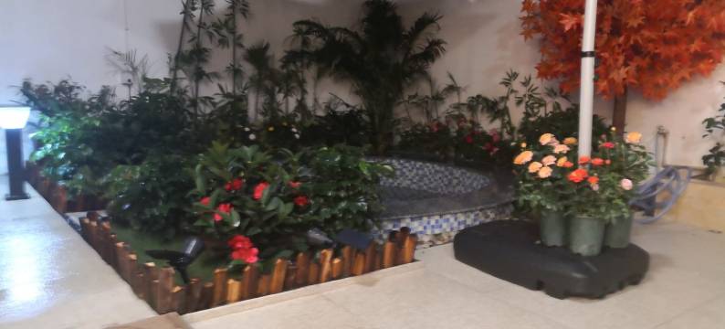 奥园花的世界度假别墅(顺英大道1号分店)图片