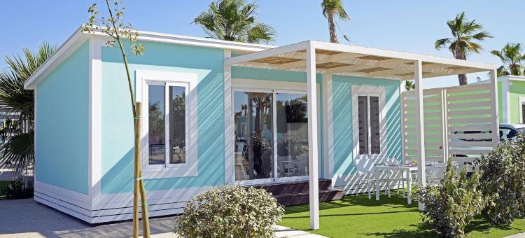 阿兰尼亚科斯塔布兰卡酒店(Alannia Costa Blanca)图片