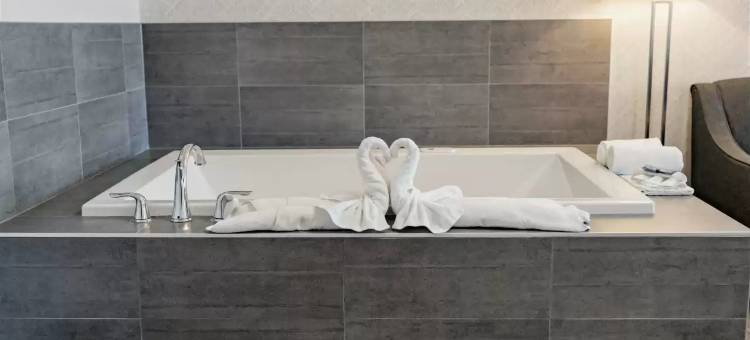 雷迪森帕克酒店 - 埃德蒙顿机场(Park Inn by Radisson Edmonton Airport)图片