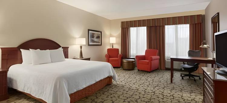 威斯康辛戴尔斯希尔顿花园酒店(Hilton Garden Inn Wisconsin Dells)图片