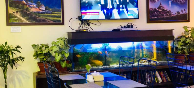 后院酒店(Backyard Hotel)图片