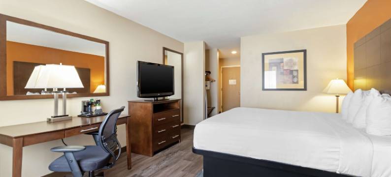 纽布朗费尔斯贝斯特韦斯特套房酒店(Best Western Inn  Suites)图片