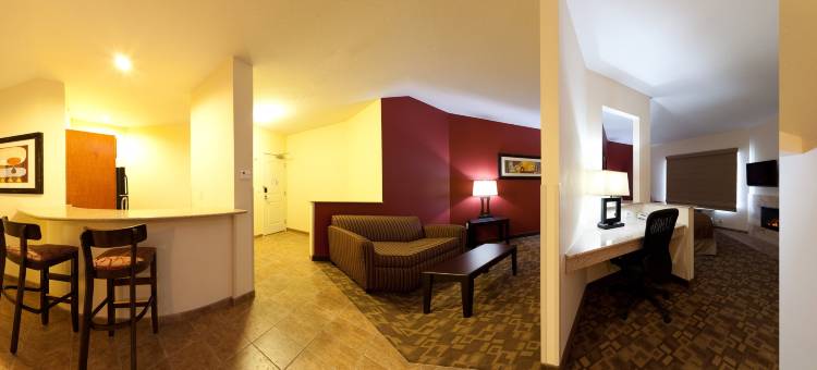 Holiday Inn 奥马哈市中心 - 机场(Holiday Inn Omaha Downtown - Waterpark)图片