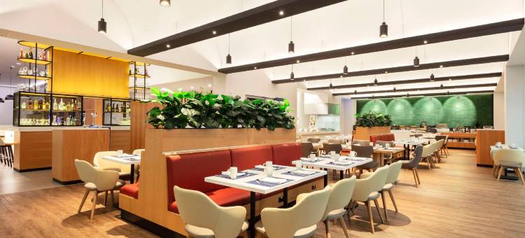 瓜达拉哈拉机场希尔顿花园酒店(Hilton Garden Inn Guadalajara Airport)图片