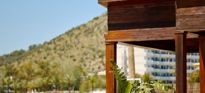 Alua Boccaccio图片