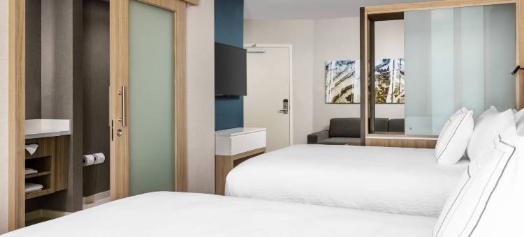 贝尔蒙特红木海岸SpringHill Suites酒店(SpringHill Suites Belmont Redwood Shores)图片