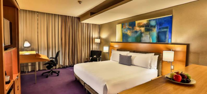 墨西哥城圣达菲巴塞罗酒店(Barceló México Santa Fe)图片