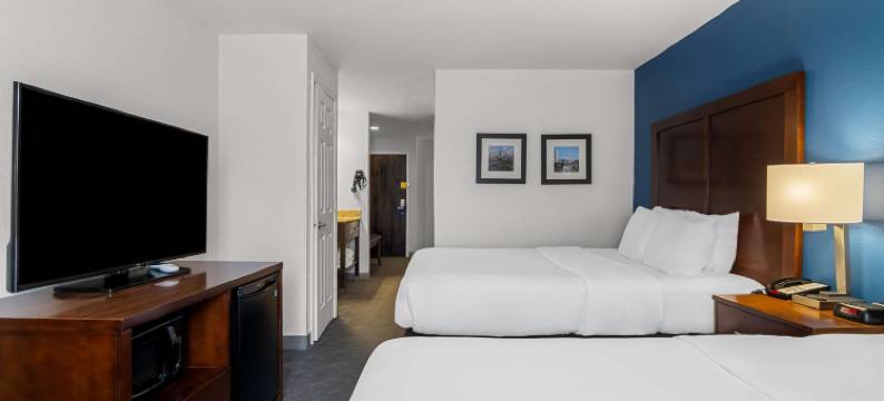 廷利帕尔克圆形剧场舒适套房酒店(Comfort Inn & Suites Near Tinley Park Amphitheater)图片