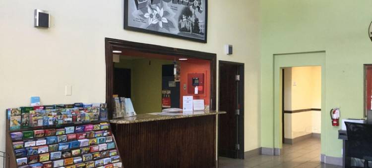 克利尔沃特-圣德彼得堡机场温德姆速8酒店(Super 8 by Wyndham Clearwater/St. Petersburg Airport)图片