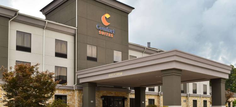 舒适套房酒店(Comfort Suites)图片