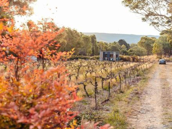 Alpaca Tiny House with Vineyard Lakeside by Tiny Away