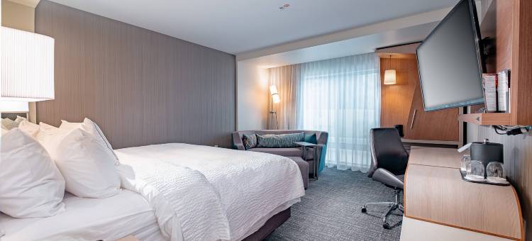 托莱多西万怡酒店(Courtyard Toledo West)图片