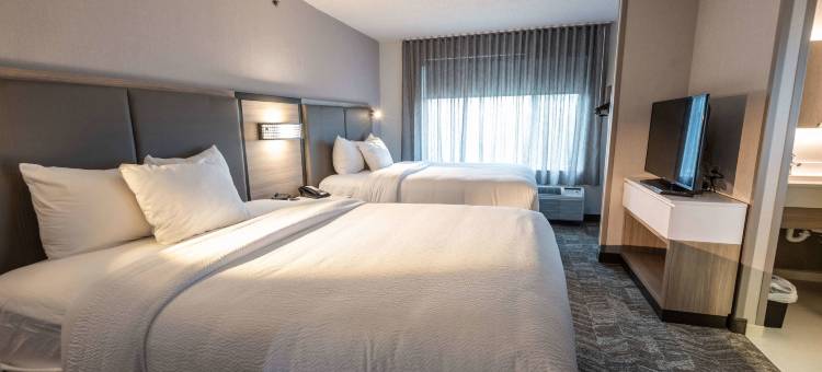 加哈那哥伦布万豪SpringHill机场酒店(SpringHill Suites Columbus Airport Gahanna)图片