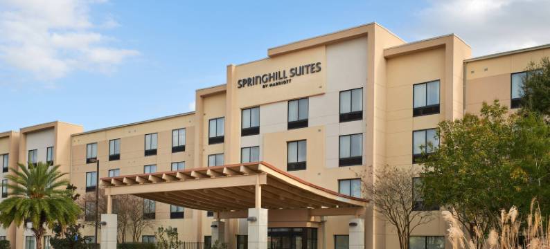 巴吞鲁日北/机场SpringHill Suites酒店(SpringHill Suites Baton Rouge North/Airport)图片