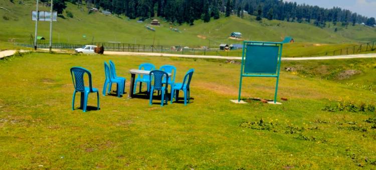 Hotel Green Park Gulmarg图片