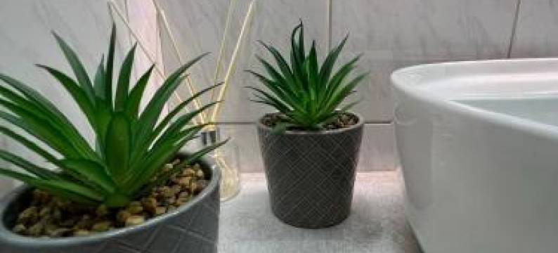 Supreme City Heart Apartment图片