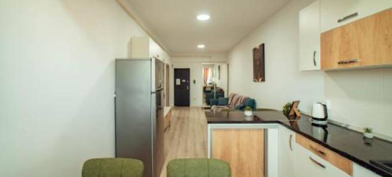 Tatarasi Apartments - One Residence Iasi图片