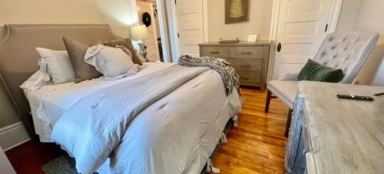 Vida Boutique Inn图片