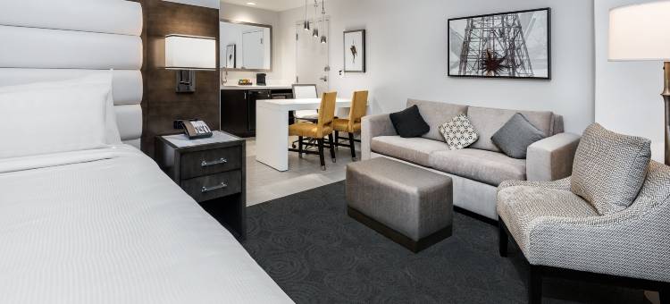 休斯顿西凯蒂希尔顿安泊酒店(Embassy Suites by Hilton Houston West - Katy)图片