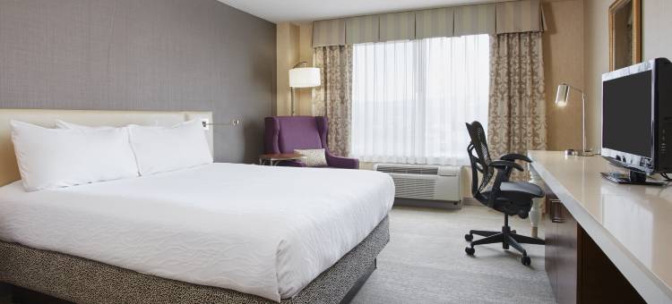 旧金山希尔顿花园酒店-机场北(Hilton Garden Inn San Francisco Airport North)图片