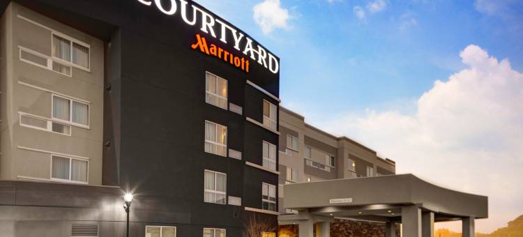 新奥尔良韦斯特班克/格雷特纳万怡酒店(Courtyard New Orleans Westbank/Gretna)图片