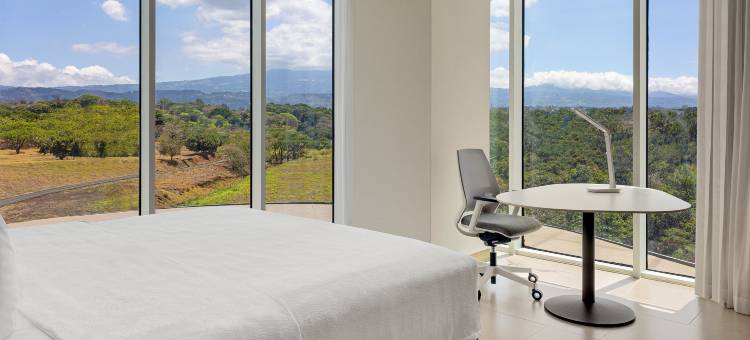 希尔顿花园酒店圣何塞机场城市购物中心(Hilton Garden Inn San Jose Airport City Mall)图片