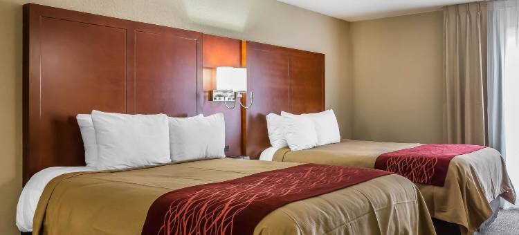 奥格尔索普套房酒店(Comfort Inn)图片