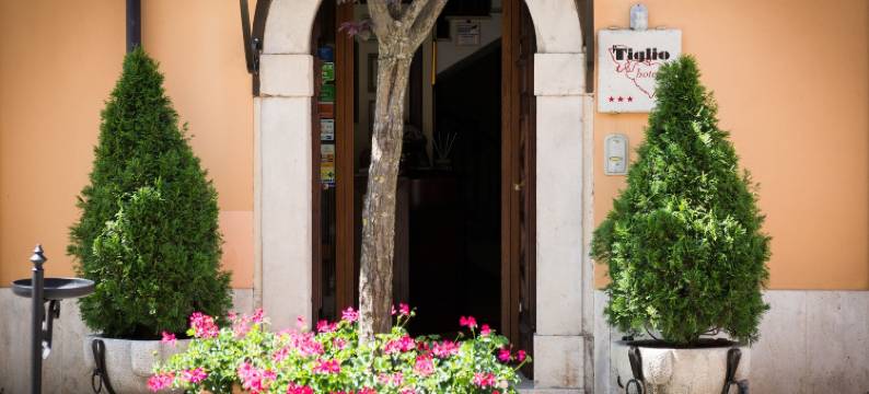 老虎酒店(Hotel Il Tiglio)图片