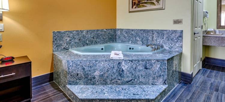 品质酒店(Quality Inn)图片