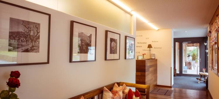 万斯迪普酒店(Hotel Weinstube)图片