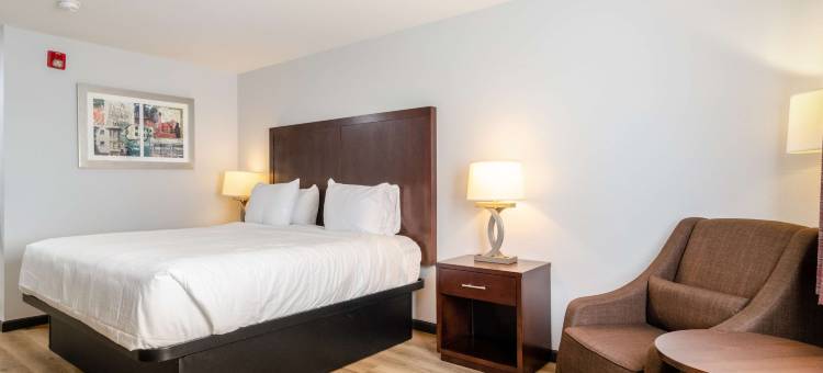 得梅因红狮套房酒店(Red Lion Inn & Suites des Moines)图片