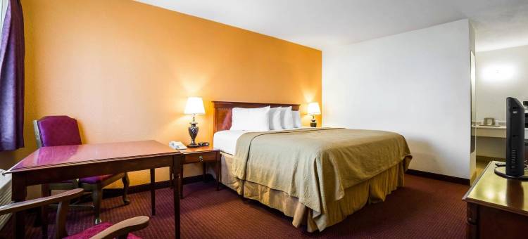 金曼66号公路罗德威酒店(Rodeway Inn Kingman Route 66)图片