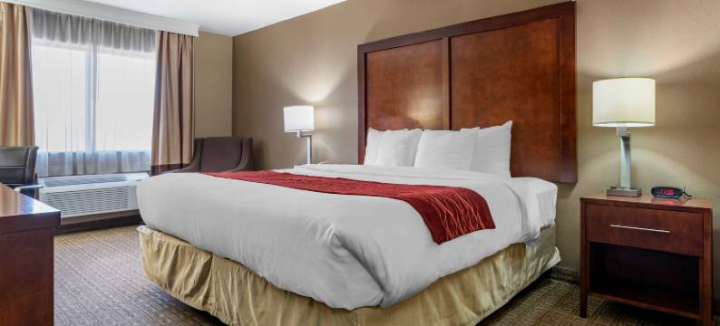 利兹I-20舒适套房酒店(Comfort Inn & Suites Leeds I-20)图片