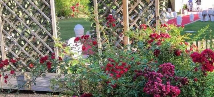 斯考特而桑乔大帝酒店(Rey Sancho Palencia)图片