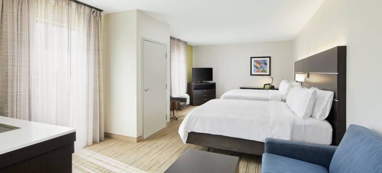 智选假日套房酒店港口里奇(Holiday Inn Express & Suites Port Richey)图片