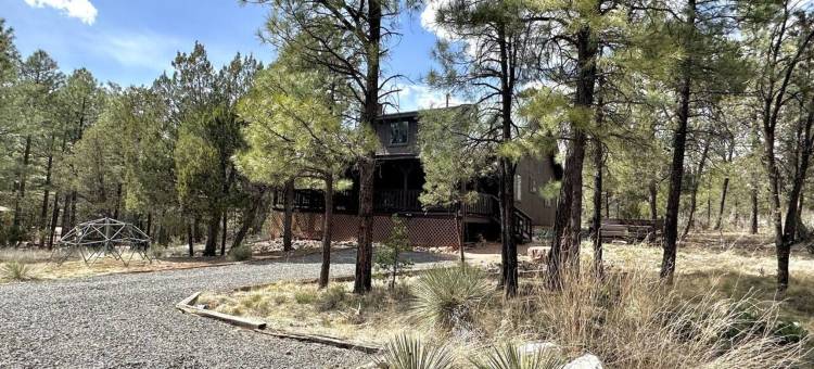 Vaulted Ceilings and Covered Porch Escape - Rustic Mountain Retreat图片