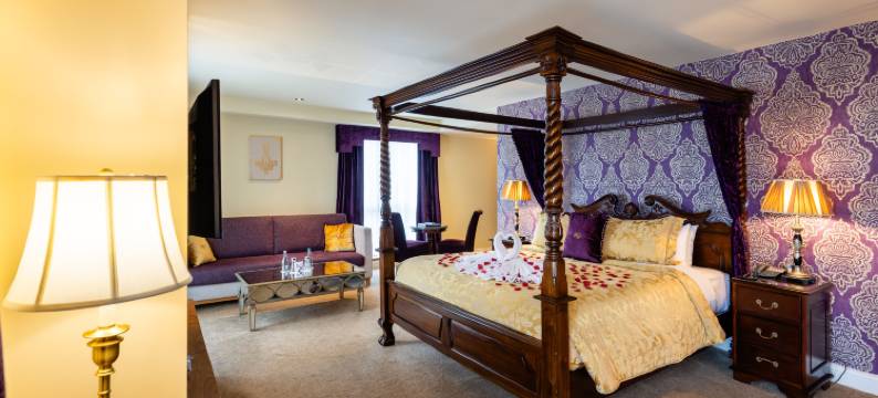 拉辛伍兹酒店(Raheen Woods Hotel)图片