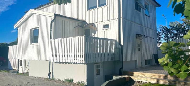 沙微蓝(Solglimt)图片