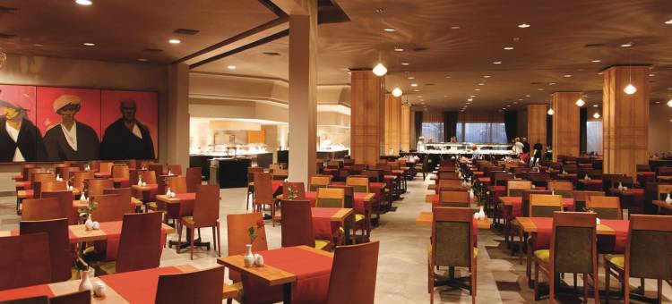 里乌蒂基达沙丘酒店 - 全包(Hotel Riu Tikida Dunas - All Inclusive)图片