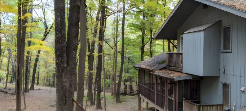 秋天的翅膀-自然的度假屋(Autumn Wings - A Natural Retreat)图片