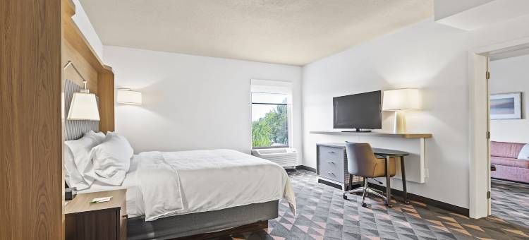 圣彼得堡西假日酒店(Holiday Inn ST. Petersburg West)图片