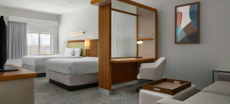 查尔斯顿芒特普莱森特万豪SpringHill Suites酒店(SpringHill Suites Charleston Mount Pleasant)图片