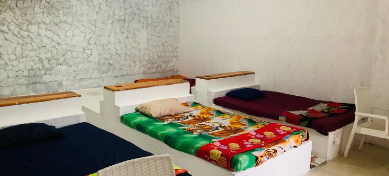 埃勒森林浴(Ella Forest Bath)图片