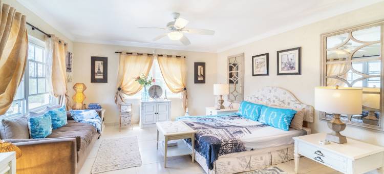 巴巴多斯隐藏宝石(Hidden Gem Barbados)图片